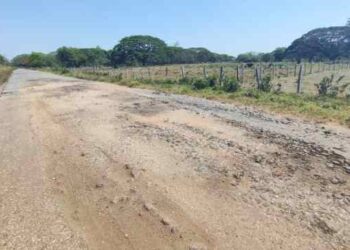En Apure no recuerdan cuándo fue la última vez que el chavismo le hizo “un cariñito” a la carretera Achaguas-Santa Lucía