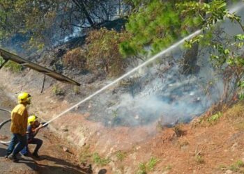 Incendio forestal se registró en el Parque Nacional Chorro del Indio en Táchira (Imágenes)