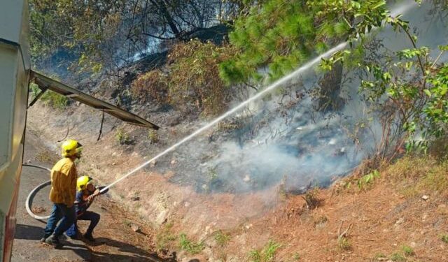 Incendio forestal se registró en el Parque Nacional Chorro del Indio en Táchira (Imágenes)