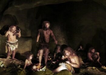 Investigadores descubren que los neandertales usaban pegamento para fabricar herramientas