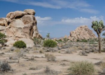 Misterio en California: hallan esqueletos humanos en un popular parque nacional