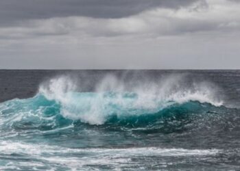Placas tectónicas se están separando en el Pacífico, según estudio