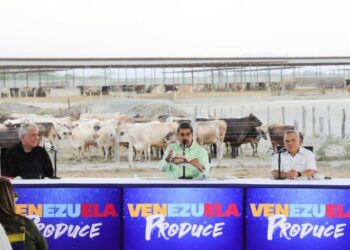 El chiste del día: Maduro aseguró que el PIB tendrá un crecimiento del 8 % en 2024