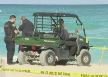 Misterio en Miami Beach: aparecen restos de un feto humano en una playa