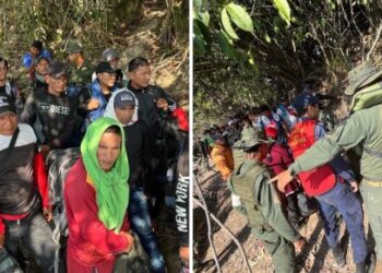 Más de 60 colombianos expulsados por la Fanb de una mina ilegal en Amazonas