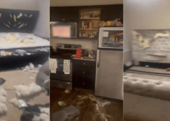 Mujer furiosa destruye el apartamento de su novio porque no le regaló nada en el Día de San Valentín (VIDEO)