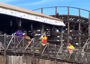 Tragedia en España: al menos 14 heridos por caída de un árbol en un parque de atracciones