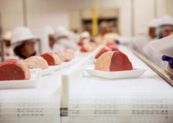 Los detalles del informe de la OMS sobre la carne y su relación con el cáncer