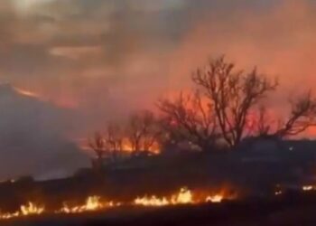 Varios incendios descontrolados mantienen en alerta a miles de ciudadanos en Texas