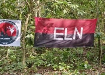 ELN cometió 59 infracciones al cese al fuego, entre ellas 33 ataques a civiles, según ONG