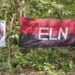 ELN cometió 59 infracciones al cese al fuego, entre ellas 33 ataques a civiles, según ONG