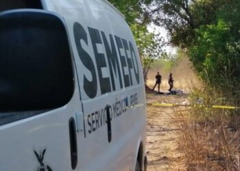 Autoridades descubren decena de fosas con 11 cadáveres en estado mexicano de Michoacán