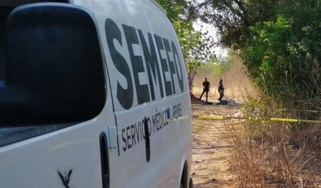 Autoridades descubren decena de fosas con 11 cadáveres en estado mexicano de Michoacán