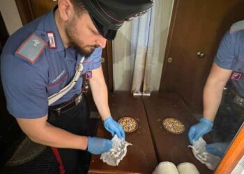 Desmantelada una red internacional de narcotráfico entre Italia, España y Marruecos