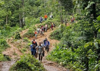 Proponen crear el Instituto Venezolano de la Diáspora