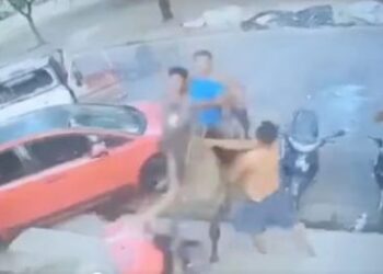 Botellazos, palazos, perros y hasta un caballo: cámara captó insólita pelea entre vecinos