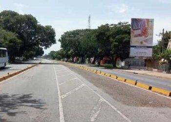 Piden transformar el “canal exclusivo” de TransMaracay en un espacio verde para la Av. Constitución
