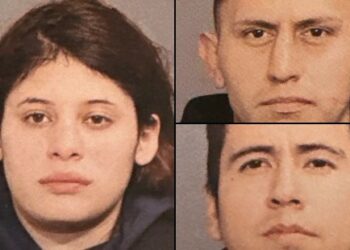 Venezolana fue detenida en Nueva York por novena vez en los últimos seis meses tras cometer este crimen