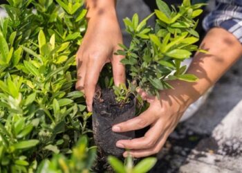 Trabajo en EEUU para el que buscan extranjeros, cubre costo de la visa y pagan más de tres mil dólares al mes