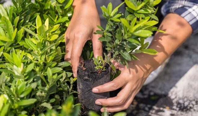 Trabajo en EEUU para el que buscan extranjeros, cubre costo de la visa y pagan más de tres mil dólares al mes