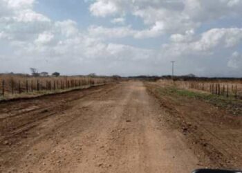 Productores de Guárico se unieron para mejorar las vías ante abandono del chavismo