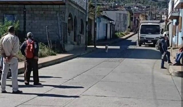 En Timotes los merideños pasan las “de Caín” para movilizarse porque el transporte público desapareció hace años