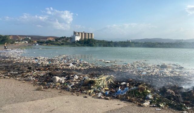 Araya recibió a más de 200 atletas para el Festival Acuático 2024