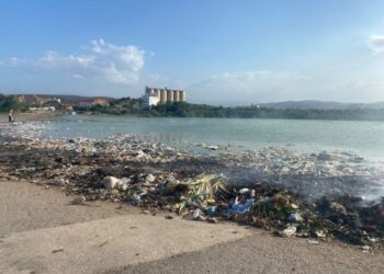 Entre zamuros y chivos viven los residentes de San Luis en Cumaná