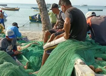 Alarming decrease in fish catch on the coasts of eastern Venezuela