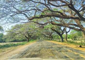 Apureños tapan huecos con arena en la carretera Achaguas-Guacharas ante la desidia del chavismo