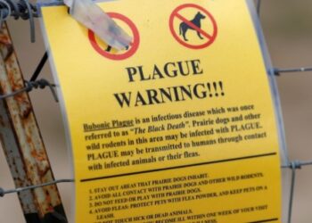 Un hombre contrajo una enfermedad “medieval” muy mortal en Oregón