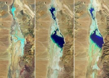 ¿Canoas en el sitio más seco de EEUU?, un lago resurge en el Valle de la Muerte de California