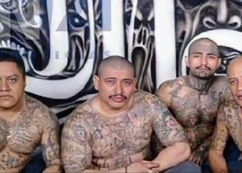 FBI teme que se esté gestando una alianza mortal entre la MS-13 y el Tren de Aragua en Nueva York