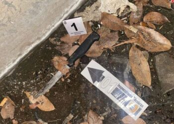 Revelan escabrosos detalles del vil asesinato de un anciano en su residencia de Caricuao