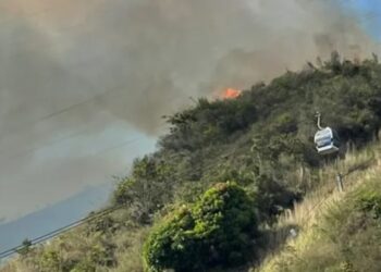 Sindicato de Inparques tras incendio en El Ávila: Hay que tomar previsiones, se espera una de las temporadas más calientes