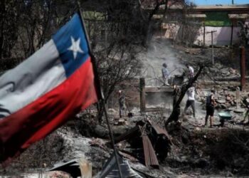 “Solo pude sacar a los perros”: la pesadilla de una de las víctimas de los incendios en Chile