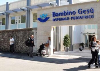 Una mujer con un solo ventrículo en el corazón da a luz gemelos, el primer caso en Italia