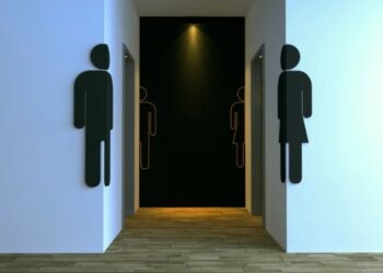 ¿Qué enfermedades se pueden contraer si se sienta en un baño público?