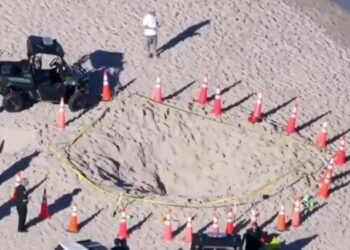 La desgarradora llamada al 911 revela pánico en playa de Florida luego que niña fuera tragada por la arena