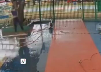 Murió después de caer de las escaleras mientras limpiaba el techo de un colegio (VIDEO)