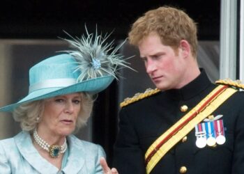 El desplante que el príncipe Harry tuvo con la Reina Camilla en su visita a Carlos III