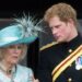 El desplante que el príncipe Harry tuvo con la Reina Camilla en su visita a Carlos III