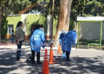 “Tengo miedo”: El último mensaje de la mujer asesinada por su expareja en el cementerio