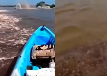 Terror en el Amazonas: un hombre filmó a una extraña criatura en el río y se hizo viral (VIDEO)