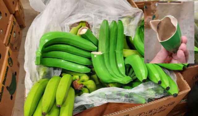 Incautan unos 400 kilos de cocaína en Ecuador almacenados en una plantación de cambures