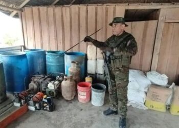 Más de 11 toneladas de drogas han sido incautadas en Venezuela en lo que va de 2024