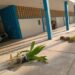 Estudiantes vandalizaron liceo en Maracaibo tras salir “raspados” en un examen (FOTOS)