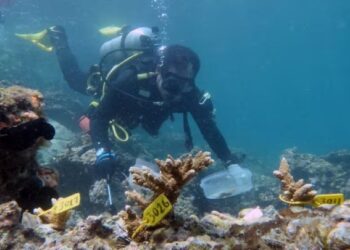 El motivo por el que ningún buzo puede llegar a los restos de Titanic