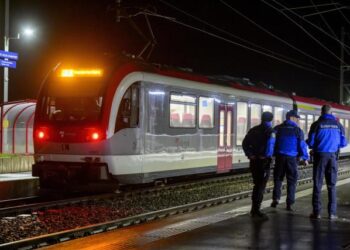 Terror en Suiza: Iraní armado con un hacha y un cuchillo tomó 15 rehénes en un tren y terminó muerto