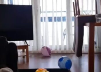 VIDEO: Filmó con su celular a un “fantasma” en su apartamento y aterró a todos